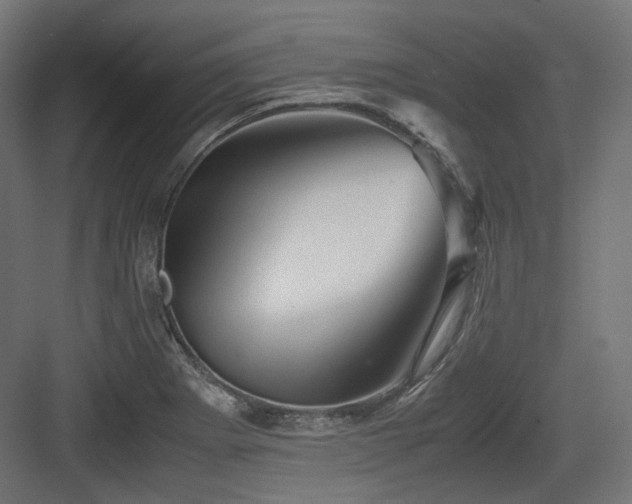 X0000083641273200702121114