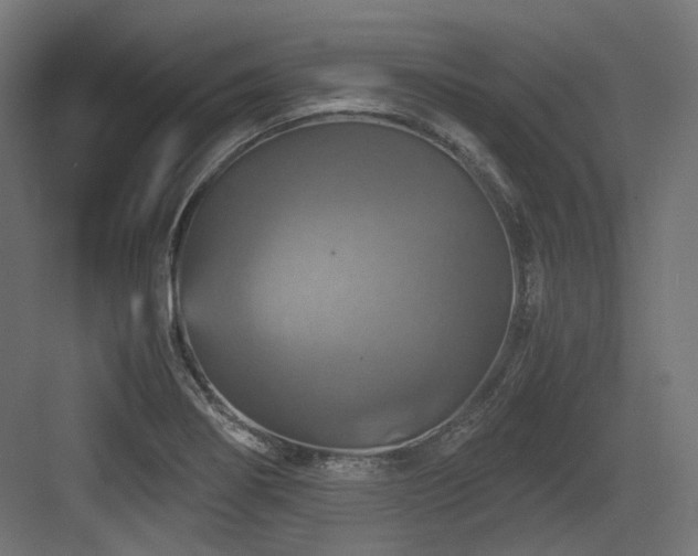 X0000083641274200702121114