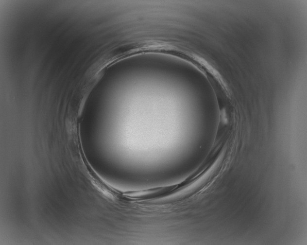 X0000083641281200702121114