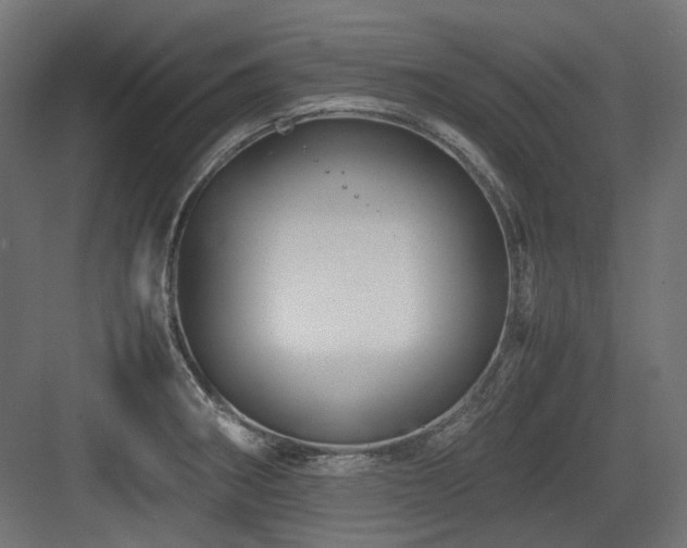 X0000083641282200702121114