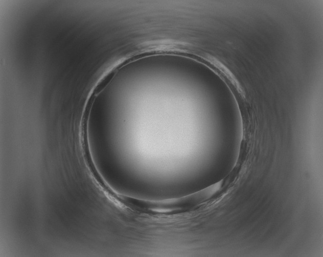 X0000083641285200702121114