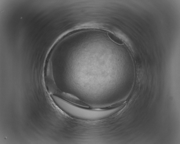 X0000083641288200702121114