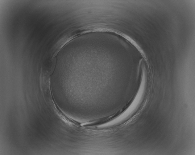 X0000083641289200702121114