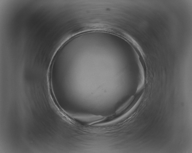 X0000083641291200702121114