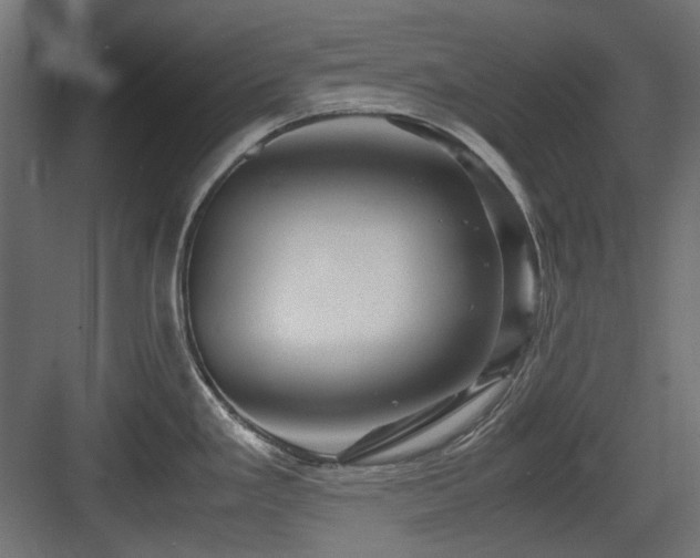 X0000083641293200702121114
