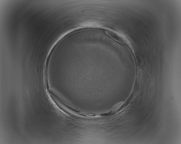 X0000083641295200702121114