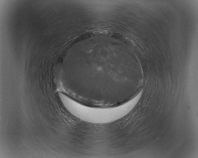 X0000083641297200702121113