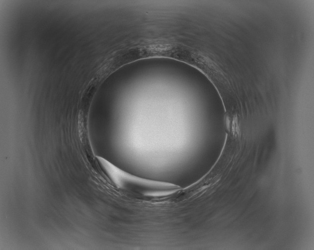 X0000083641299200702121113