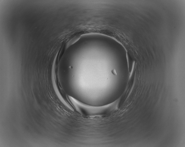 X0000083641300200702121113