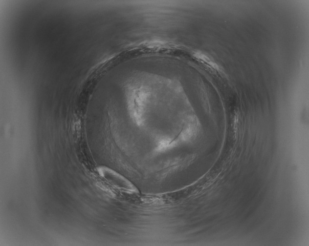 X0000083641302200702121113