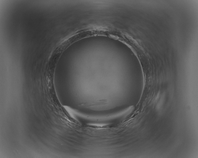 X0000083641303200702121113