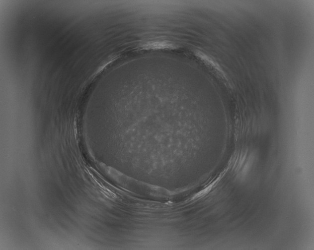X0000083641305200702121113