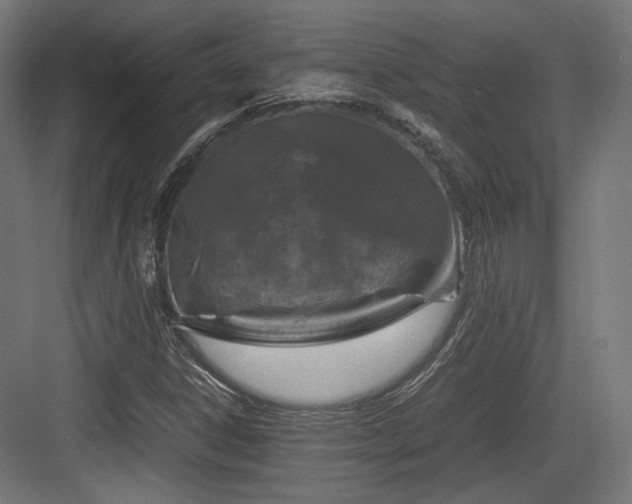 X0000083641306200702121113