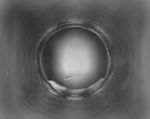 X0000083641307200702121113