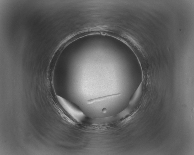 X0000083641308200702121113