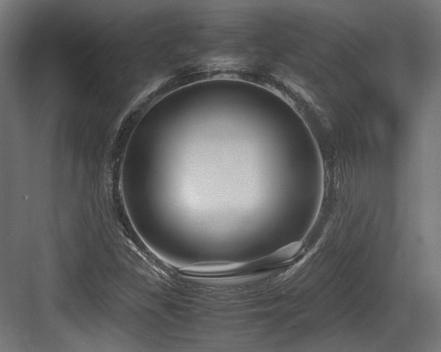 X0000083641309200702121113
