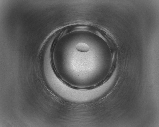 X0000083641310200702121114