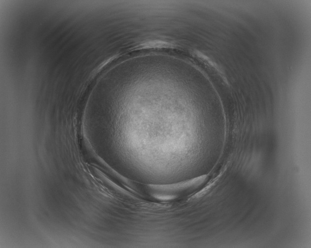X0000083641313200702121114