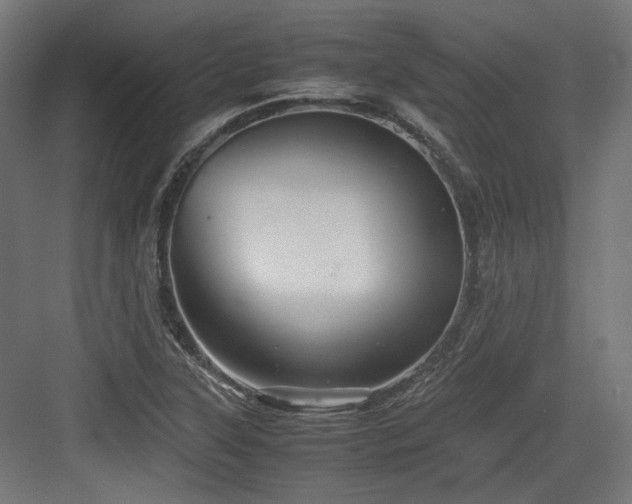 X0000083641315200702121114