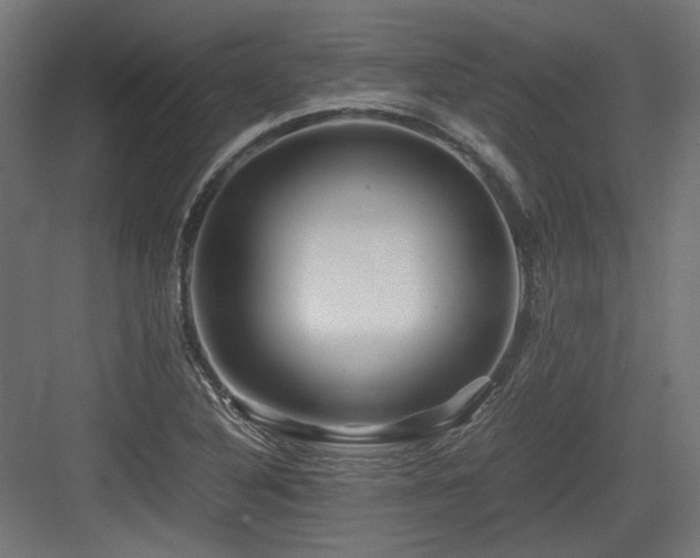 X0000083641316200702121114