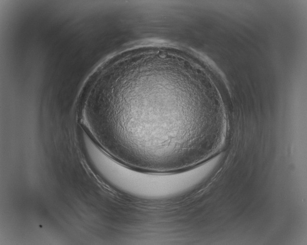 X0000083641318200702121114
