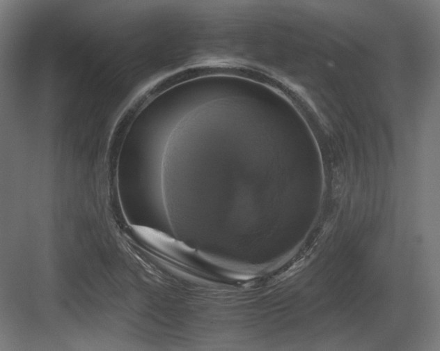 X0000083641319200702121114