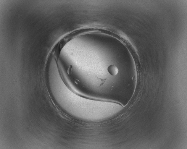 X0000083641320200702121114