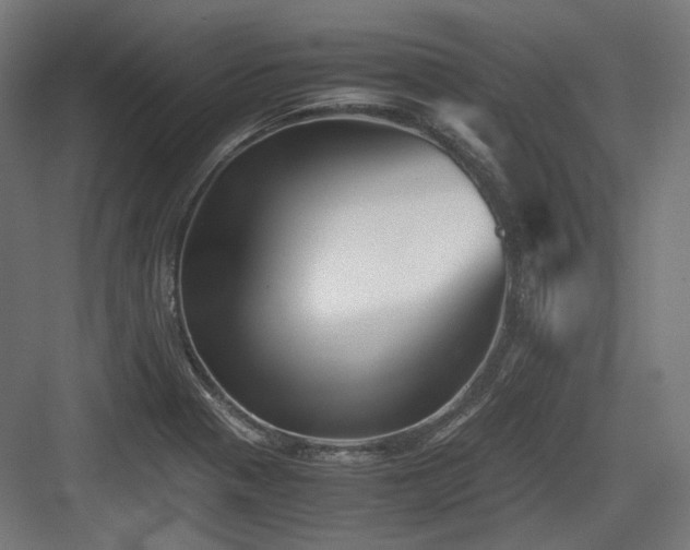X0000083641321200702121114