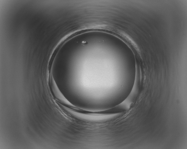 X0000083641324200702121114