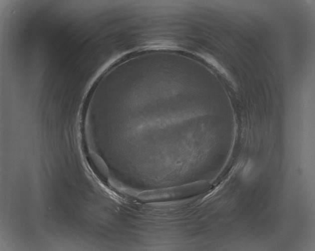 X0000083641325200702121114