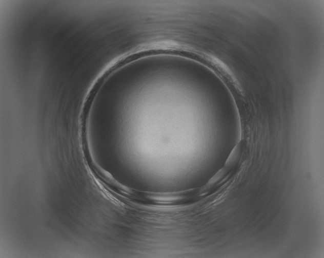 X0000083641326200702121114