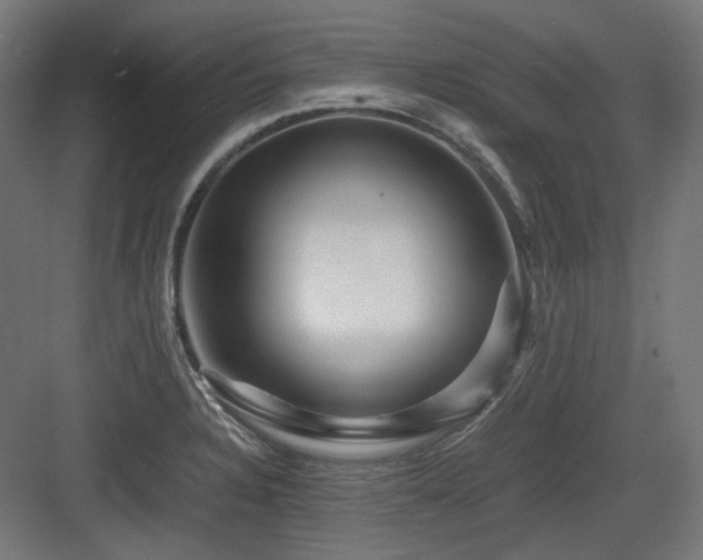 X0000083641328200702121114