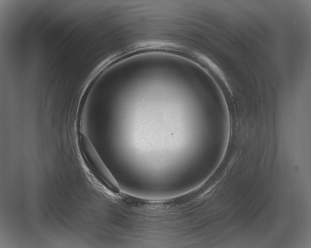 X0000083641330200702121114