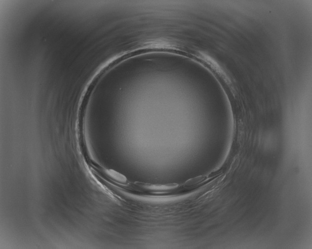 X0000083641331200702121114