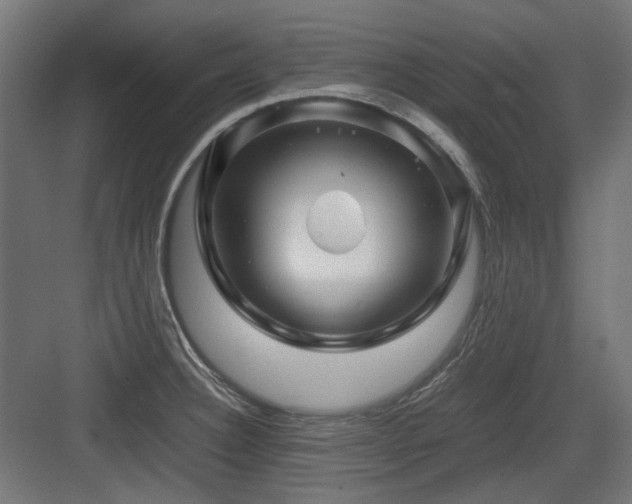 X0000083641332200702121114