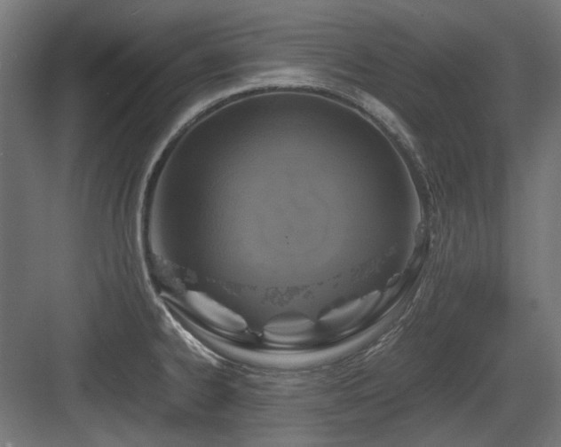 X0000083641334200702121114