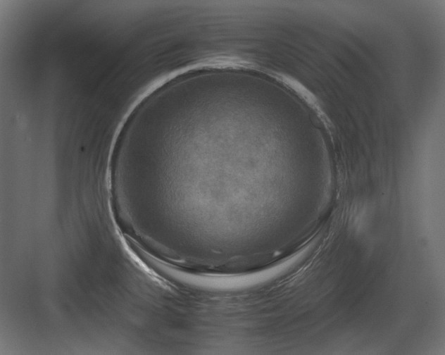 X0000083641335200702121114