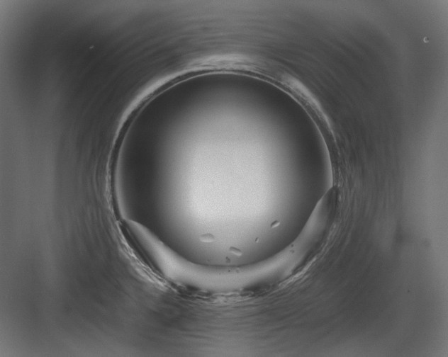 X0000083641336200702121114