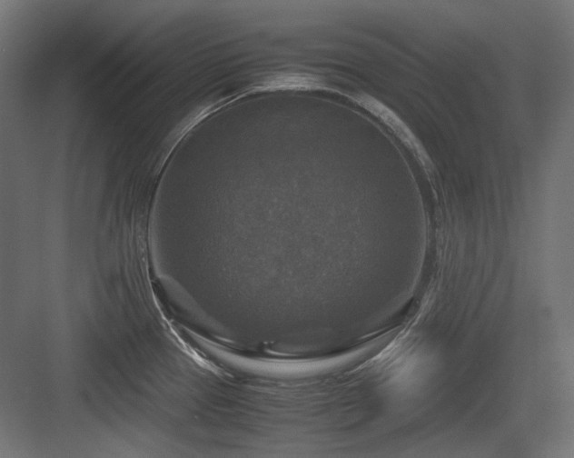 X0000083641337200702121114