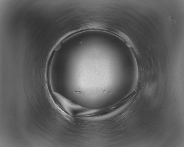 X0000083641339200702121114