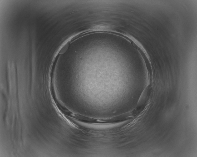 X0000083641341200702121114