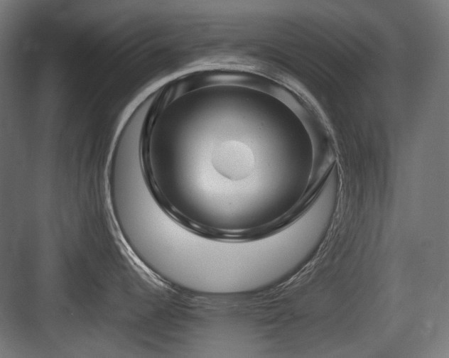 X0000083641344200702121114