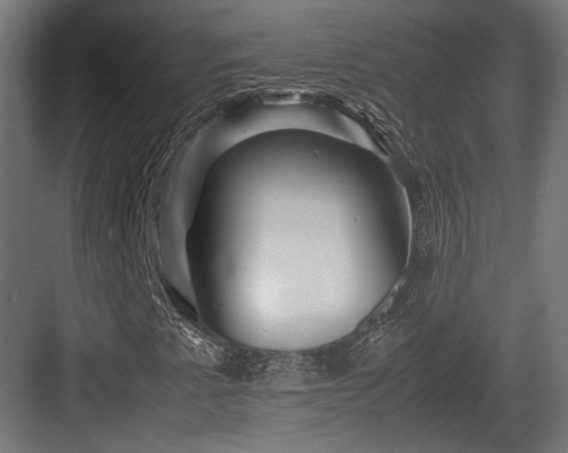 X0000083641345200702121113