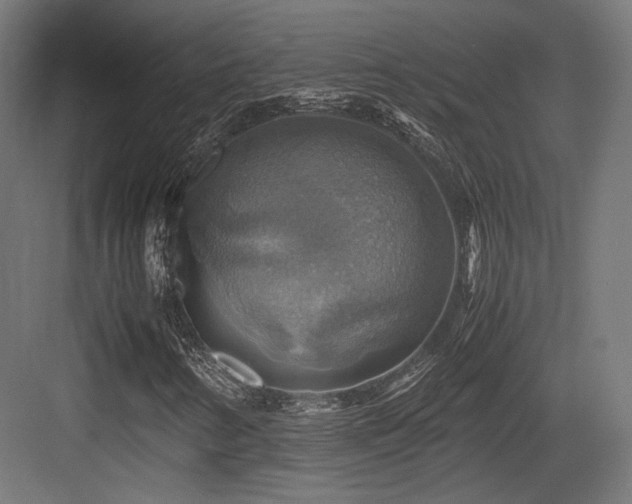 X0000083641346200702121113