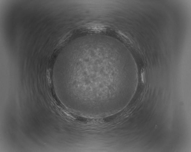 X0000083641347200702121113