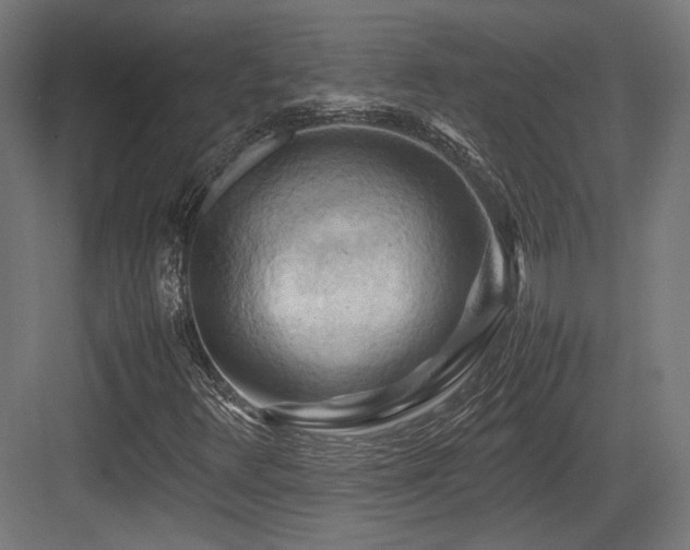 X0000083641348200702121113