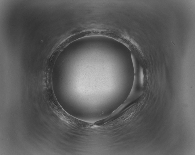 X0000083641352200702121113