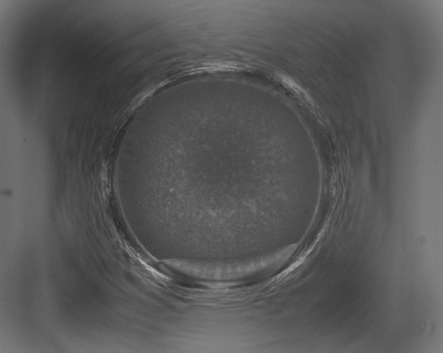 X0000083641353200702121113