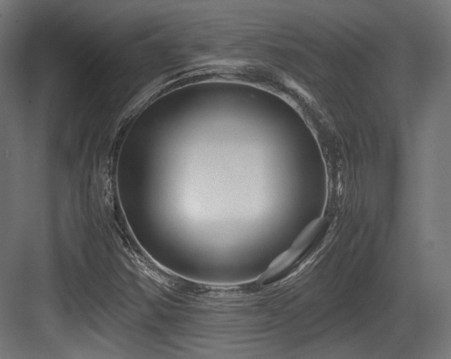 X0000083641354200702121113