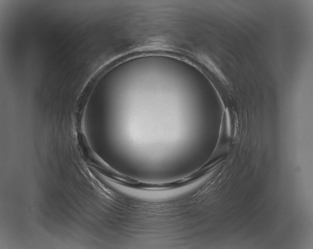 X0000083641356200702121113